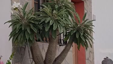 Casa Acosta - Foto 4