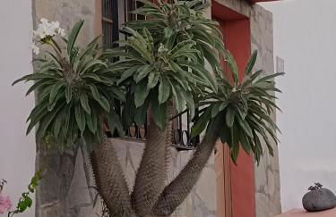 Casa Acosta - Foto 4