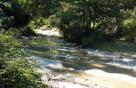 Agriturismo al Monte - Foto 41