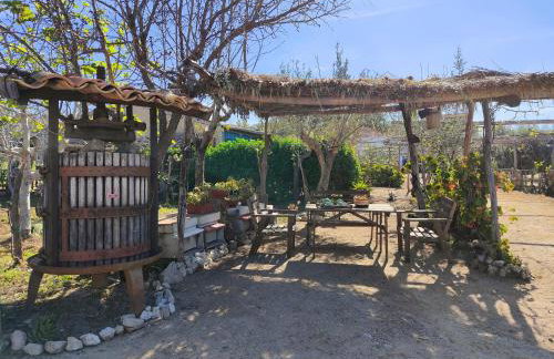 Agriturismo Casa del Contadino - Foto 72