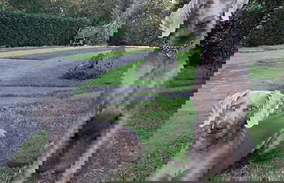 B&B VillaGaia - Foto 40