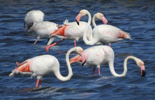 Vila Natura - Foto 80