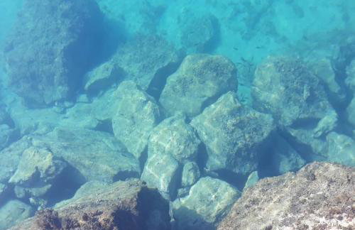 Apartman Grospic - Foto 20