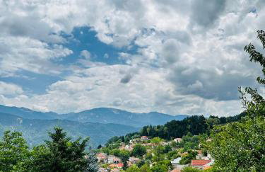 ΤΟ ΑΡΧΟΝΤΙΚΟ - Photo 44