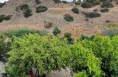 Eirini Apts On the beach - Foto 47