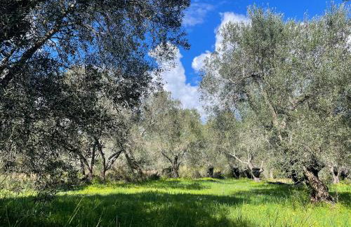 Papiri Beach - Foto 21