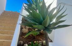 Casa SP- Villa with heated pool near Vilamoura, Vale do Lobo - Photo 19