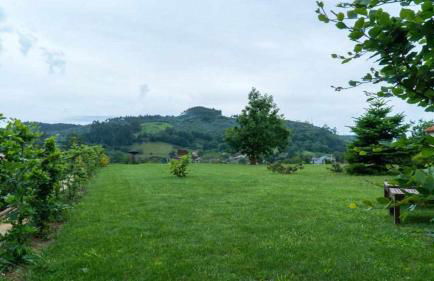 Apartamentos Arcadia - Foto 17