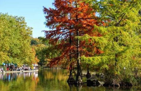 Nice Apartment in der Center Of Munich - Foto 9