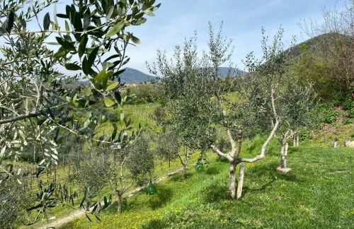 AZIENDA AGRICOLA CA' LUNGA - Foto 24