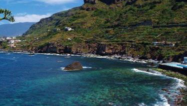 Los Alenes en Flor - Foto 2