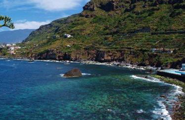 Los Alenes en Flor - Foto 2