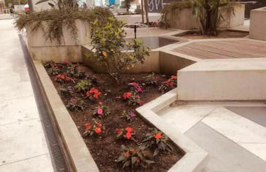 Hogar de Mauro - Foto 11