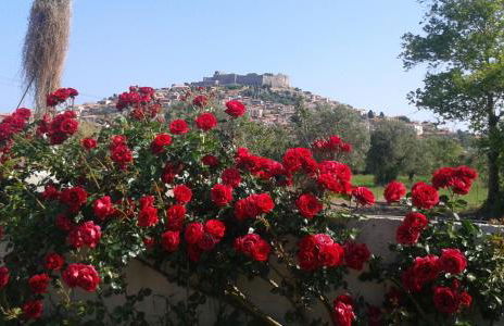 Michaela Beach Houses - Photo 7