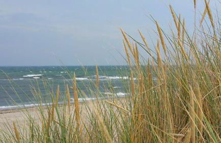 Apartment Leuchtturm 16 - Foto 43