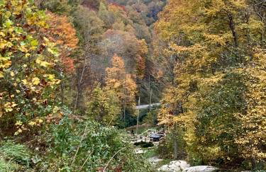 Windows Over Waterfalls - Foto 10