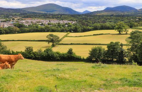 Tyddyn Parthle Pod 1 - Foto 22