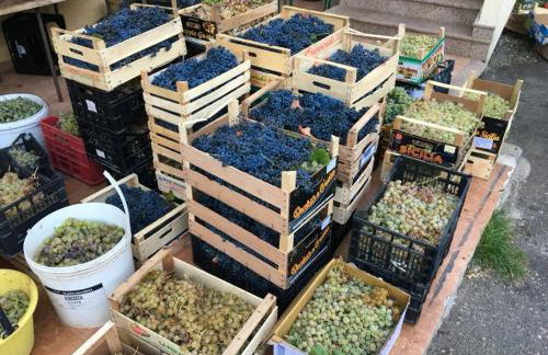 Agriturismo Villa Orchidea - Foto 33