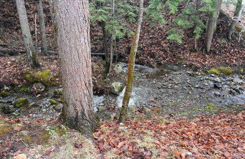Lakefront Cottage on Brewer Lake - Foto 47