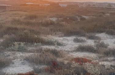 Grandpa's Nook - Torralta- Vista Mar - Photo 31