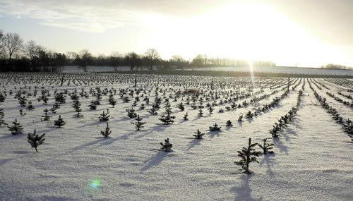 Haus-Auetal - Photo 4