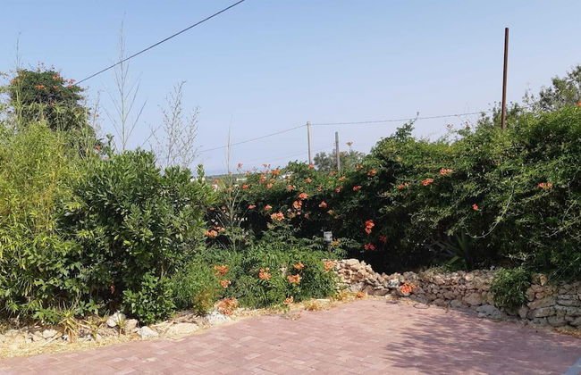 Agriturismo Vivinatura - Foto 39