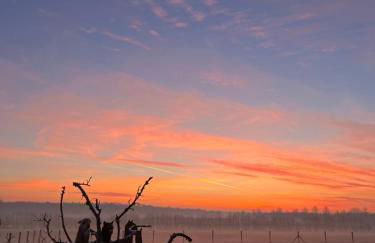 Tiny House Alpakablick - inklusive Alpaka Meet & Greet an bestimmten Terminen - Foto 18