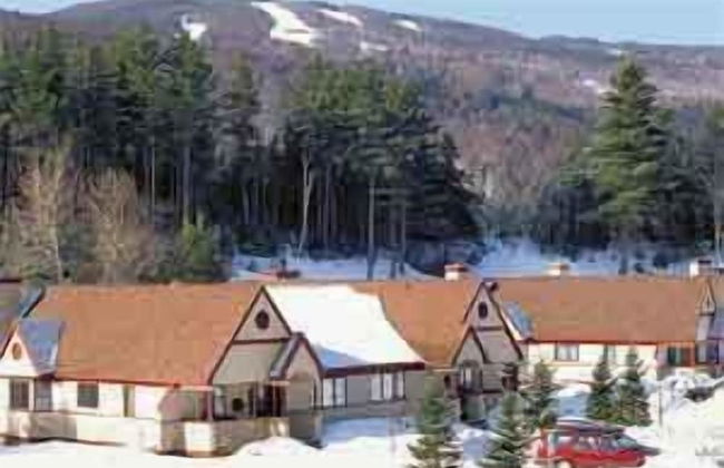 Townhomes at Bretton Woods - Photo 34