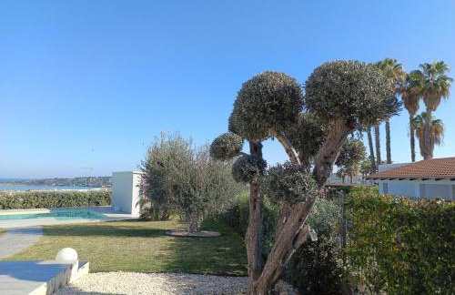 VillAMURI - Foto 4