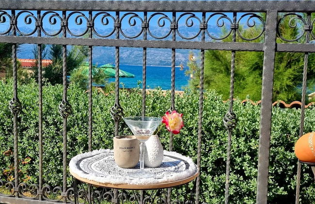 Beach House Calendula - Foto 59