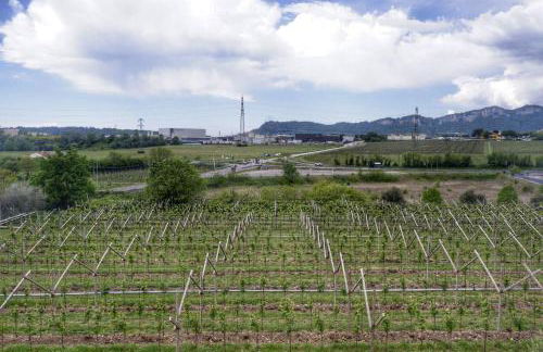 L'edera appartamento - Photo 14