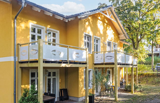 Zaunkönig - Foto 25