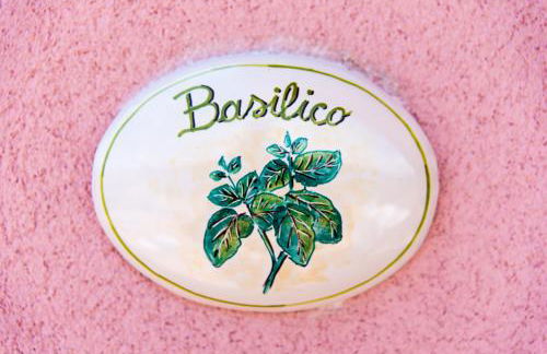 Fili d'Erba Cilento - Foto 25