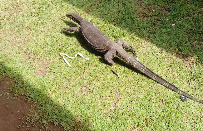 Ranmitha Villa - Foto 31