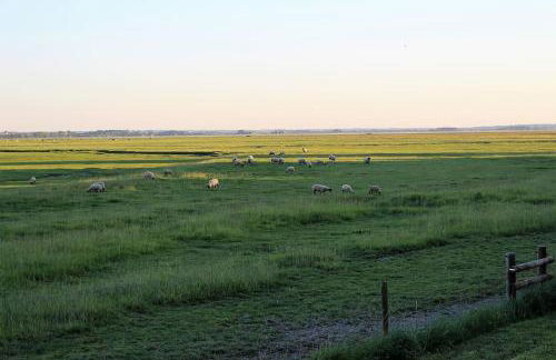 Baie du Mont Saint Michel / Gîte de la Vaquerie - Foto 11