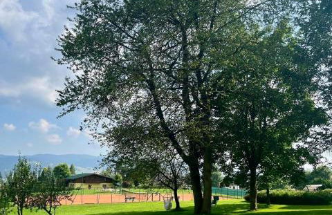 Agriturismo Lambra La Casa Del Sol - Foto 15