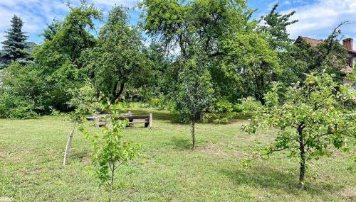 Domek letniskowy Ińsko BIO BOX - Foto 5, Garden