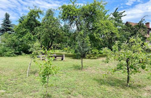 Domek letniskowy Ińsko BIO BOX - Foto 5