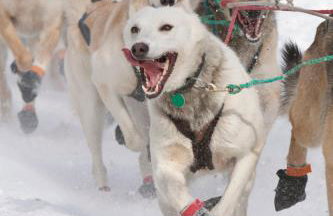 Anchor Town Lodge - Photo 17