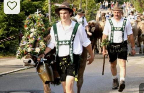 Ferienpark Oberallgäu - FeWo "Klatschmohn" Hallenbad & Sauna & WLAN - Foto 55