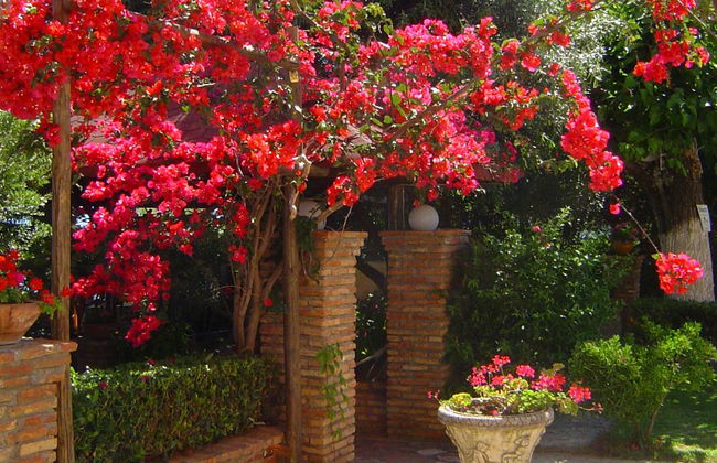 Castella Beach - Foto 32