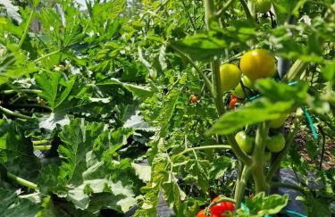 Charming village house with pool - Photo 30