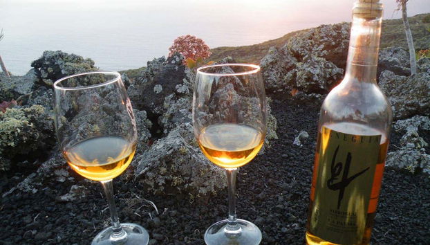 Visita della cantina Bodegas Teneguía - Foto 4