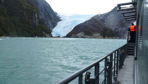 Avistamiento de ballenas en el estrecho de Magallanes - Foto 4