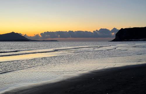 L'orchidea del faro - Foto 45