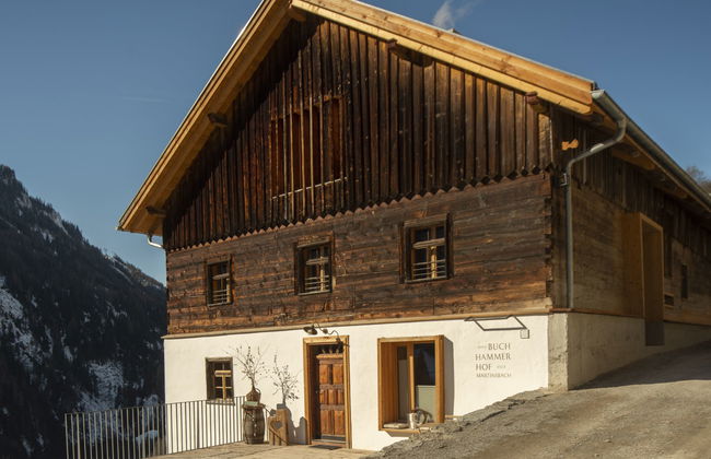 David am Buchhammerhof - Foto 46