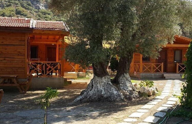 Dream Garden Evleri - Foto 35