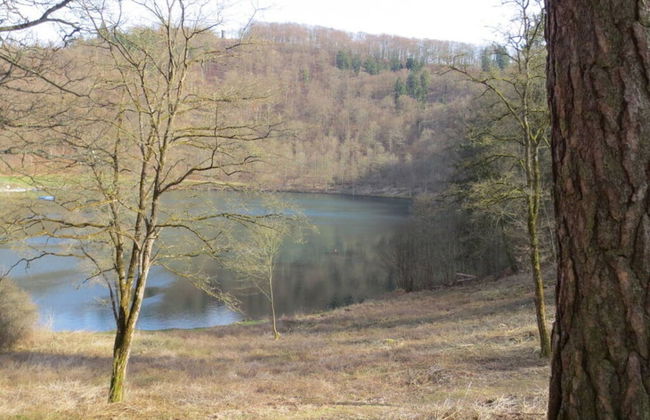 Klas Haus Eifelsonne - Foto 24