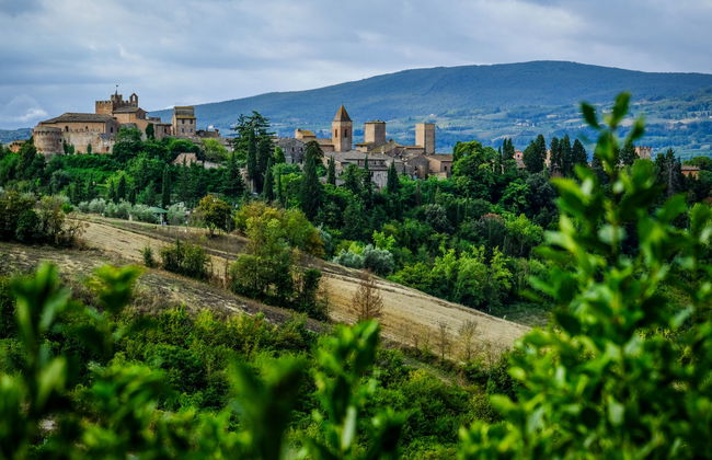 1 bedroom Apartment in Certaldo with swimming pool and garden - Photo 30