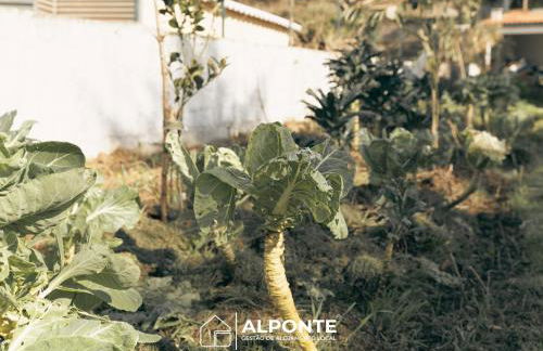 Casa da Melanie - Foto 31